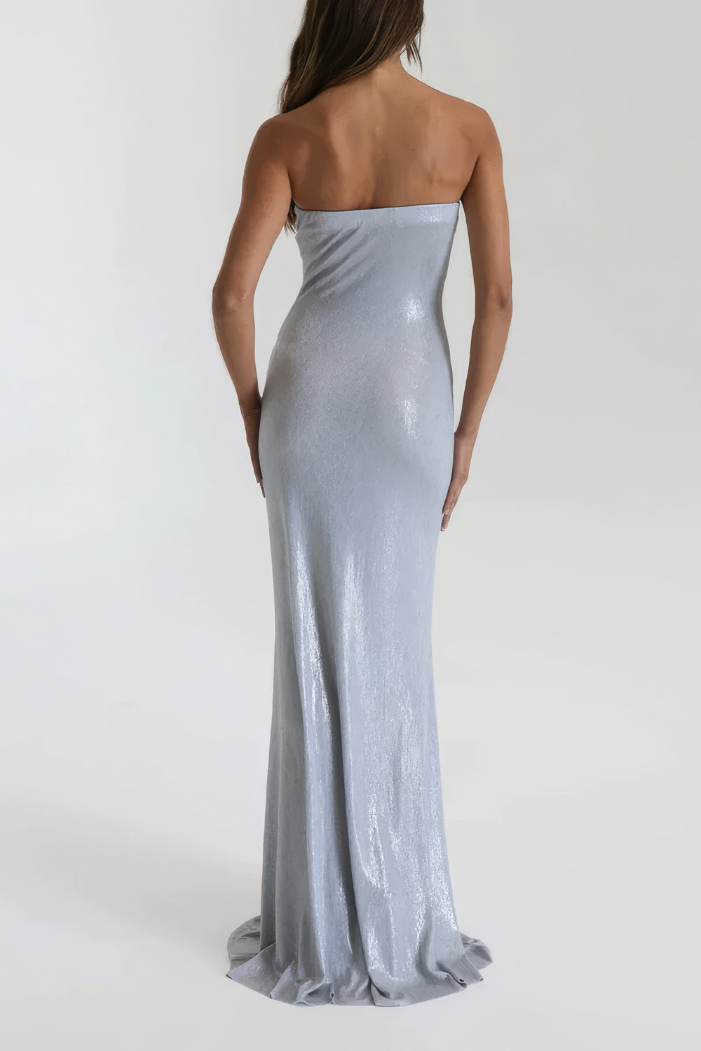 Metallic Tube Maxi Dress